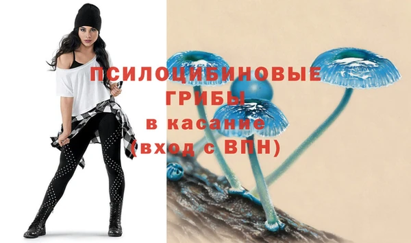 СК Киренск