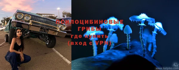 прущая мука Козельск