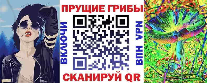 Псилоцибиновые грибы Cubensis  блэк спрут ССЫЛКА  Руза 